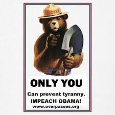 Pin By Jason Taylor On Politics Government Smokey The Bears Bear My Childhood Memories