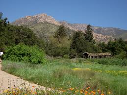 The Santa Barbara Botanic Garden Beautiful Gardens Botanical Gardens Santa Barbara