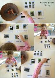 Traveling Asia Continent Study Natural Beach Living Montessori Activities Preschool Kids Learning Activities Educational Activities For Kids