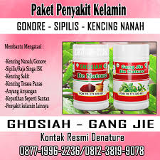 We did not find results for: Storymapjs Inilah Obat Sipilis Sifilis Terlaris Di Apotik Paling Ampuh Menerima Cod Rajeg