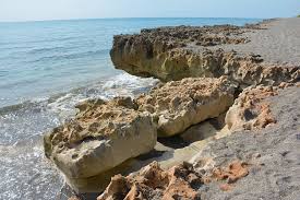 Blowing Rocks Preserve Florida Hikes