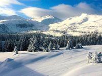 Драгобрат, земля, Госгеокадастр