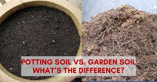 The distinction between topsoil and compost can make all the difference in plant performance. Potting Soil Vs Garden Soil What S The Difference