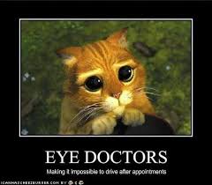 Pin On Ophthalmology Optometry