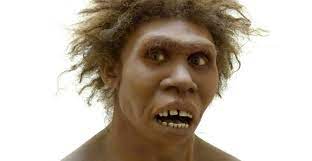 It was discovered in 1984 by kamoya kimeu on the bank of the nariokotome river near lake turkana in kenya. Vp3sg6auajhlgm
