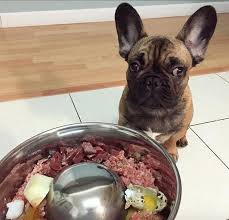 In general, older french bulldogs need slightly less food than their young counterparts. 100 Raw Dog Food Recipes For Your Frenchie