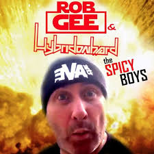 Stream ROB GEE & HYBRIDONHARD "THE SPICY BOYS" by Rob GEE
