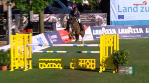 Check spelling or type a new query. Pferd Sport Zucht Und Sport In Schleswig Holstein Und Hamburg Holsteiner Zucht Artikel