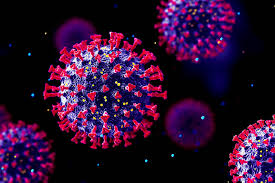 Do Viruses Evolve to Be Less Deadly? - News @ Northeastern