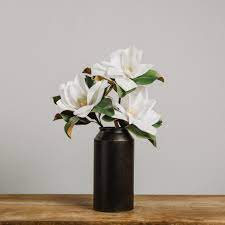 Large Magnolia Stem Flower Vase Arrangements Magnolia Flower Flower Vases