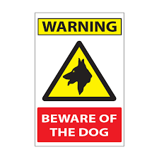 This shop owner installed a glass ceiling for his cats and now they won't stop staring at. Beware Dog Smart Art Signs