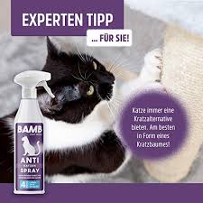 Not every home remedy works for every cat. Compare Prices For Across All Amazon European Stores