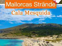 die 7 besten ostseeurlaub tipps fur den herbst ostsee urlaub urlaub ostsee