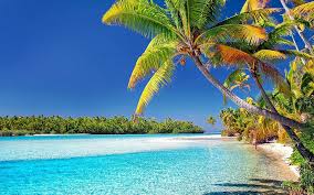 When you want to fry, steam, boil, sear and. Cook Islands Travel Restrictions Covid Tests Quarantine Requirements Wego Travel Blog