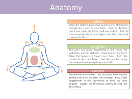 Easy Pose Sukhasana Yoga Anatomy Energy Yoga Yoga Asanas