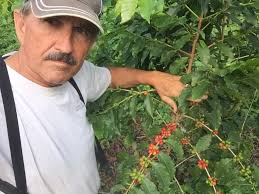 Heartfelt Associates