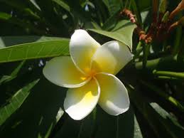 Stadtberger straße 75, augsburg, by 86157 anfahrtsbeschreibung. Hong Kong Haus Home Augsburg Germany Menu Prices Restaurant Reviews Facebook