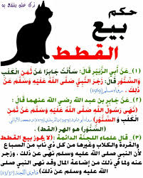 حكم بيع القطط islamic phrases learn islam hadith
