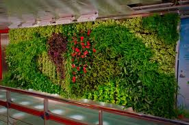 Der vertikale garten ist, wie sein name schon verrät, senkrecht platziert, weshalb er auch als eine etwas andere wanddekoration dienen kann. 1001 Ideen Zum Thema Vertikaler Garten Mit Praktischen Tipps