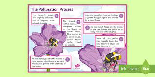 Bees pollinate our flowers everyday.if it wasn't for bees,flower gardens won't even exist and minecraft wouldn't have flowers! Pollination Information Poster