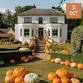Tewinbury Pumpkin Patch event image