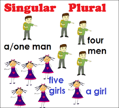 This product is divided into two sections: Singular And Plural Nouns Definition Rules Exercise Singular And Plural Nouns Examples