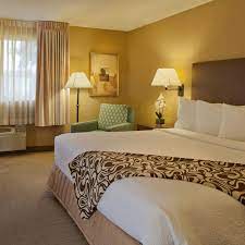 There are 98 guestrooms at silver cloud inn bellevue downtown. Silver Cloud Inn Bellevue Downtown Bellevue Wa
