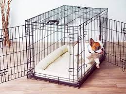 Trova una vasta selezione di recinti da esterno per cani a prezzi vantaggiosi su ebay. Migliori Recinti Per Cani
