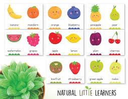 Fruit Vegetable Flash Cards Printable Flash Cards Flashcards Cards