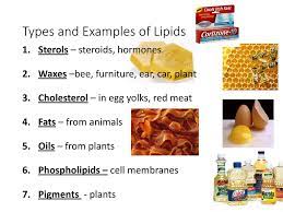 Biochemistry Lipids Ppt Download