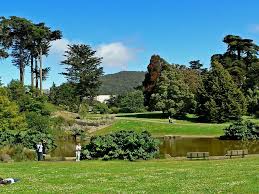 As you wander past lemurs, bears, peacocks and penguins, be sure to feast your eyes on the beautiful plants. San Francisco Botanical Garden Prepares For Limited June 1 Reopening