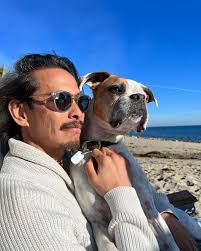 N O V E M B E R @casamb_ Lorena Levi: Blistered Opens November 15  #lorenalevi #casamb #mblosangeles #milano