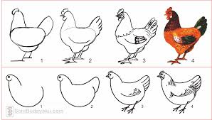 Untuk diwarnai ini dipetik dari website berikut : 10 Cara Menggambar Ayam Dengan Mudah Tk Nu 01 Kendit
