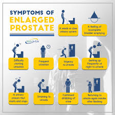 Check spelling or type a new query. Prostate Problems These Are The Main Symptoms Walkin Lab