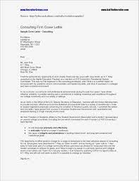 Feasibility Study Template Small Business Letter Template Word Cover Letter Example Cover Letter Template
