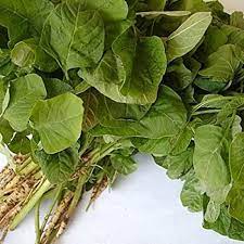 Maybe you would like to learn more about one of these? Amaranthus Thandu Keerai Thotakura Sync With Nature