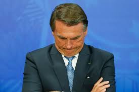 Nessalpaca's tempting live footage - a peek into her world