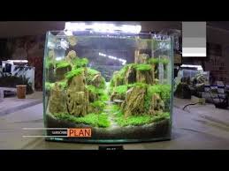 Aquascaping Realisation Laurent Garcia Aquarilis Youtube Aquascape Aquascape Aquarium Diy Aquarium Filter