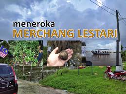 Things to do near eko pelancongan kg melangkap tiong. Merchang Lestari Destinasi Eko Pelancongan Terbaru Di Terengganu Aerill Com Lifestyle