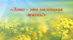 Солнечным согретые теплом вновь мечты и души расцветают. Leto Eto Malenkaya Zhizn Prezentaciya Onlajn