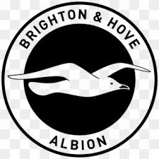 Please to search on seekpng.com. Premier League Brighton Hove Albion Logo Png Transparent Png 1000x1000 4911267 Pngfind
