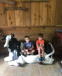 Cost is $175 and includes: Cow Bench Bild Von Deanna Rose Children S Farmstead Overland Park Tripadvisor