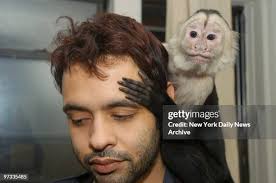 550 Animal Control Officer Stock Photos, High-Res Pictures, and Images