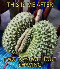 10 Dirty Pussy Memes That Will Make You Look Twice