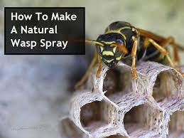 How To Make A Natural Wasp Spray We Had Opted For The Natural Mint Sprays At Home Depot But This Could Be Insecticidas Naturales Jardines Secretos Jardineria