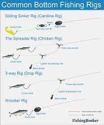 Pin On Fishing Tips