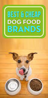 Find The Best Cheap And Affordable Dog Food Brands In The Market Today That Will Also Be Healthy For Dog Dog Food Recipes Dog Food Brands Best Cheap Dog Food