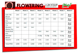 How To Use The Grotek Feeding Schedule Find Out Here