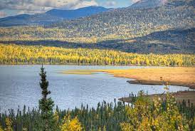 The cabin contains two bunk beds, a table with benches, countertop for food preparation, wood stove, splitting maul, crosscut saw, broom, shovel, fire extinguisher, an established campfire. Engineer Lake Cabin Alaska Org
