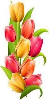 Super Flowers Png Tulip Ideas Wallpaper Nature Flowers Flower Clipart Flower Phone Wallpaper